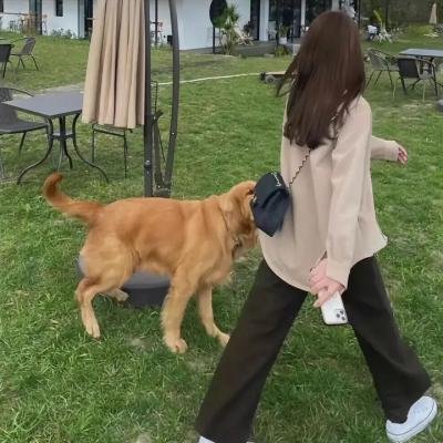 关键杀机