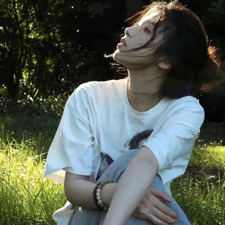 掩耳盗邻第一季