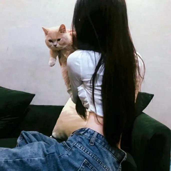 巨星总动员